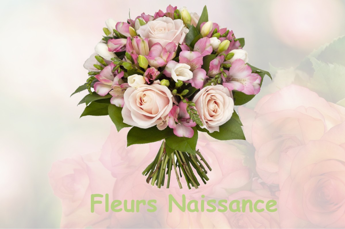 fleurs naissance PARIGNE-SUR-BRAYE